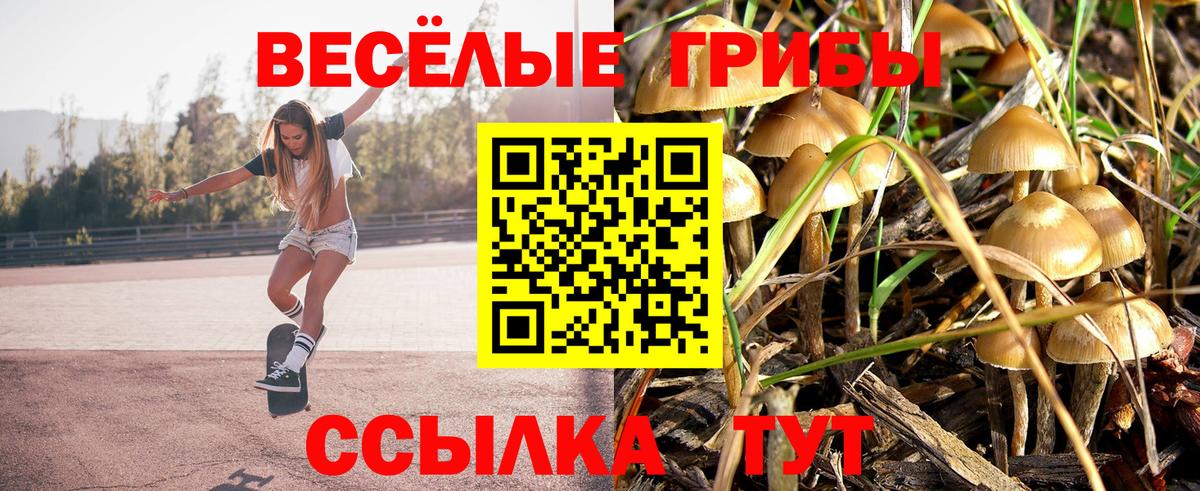 Галлюциногенные грибы Psilocybine cubensis  Галлюциногенные грибы GOLDEN TEACHER  Вход с VPN  Лесной 
